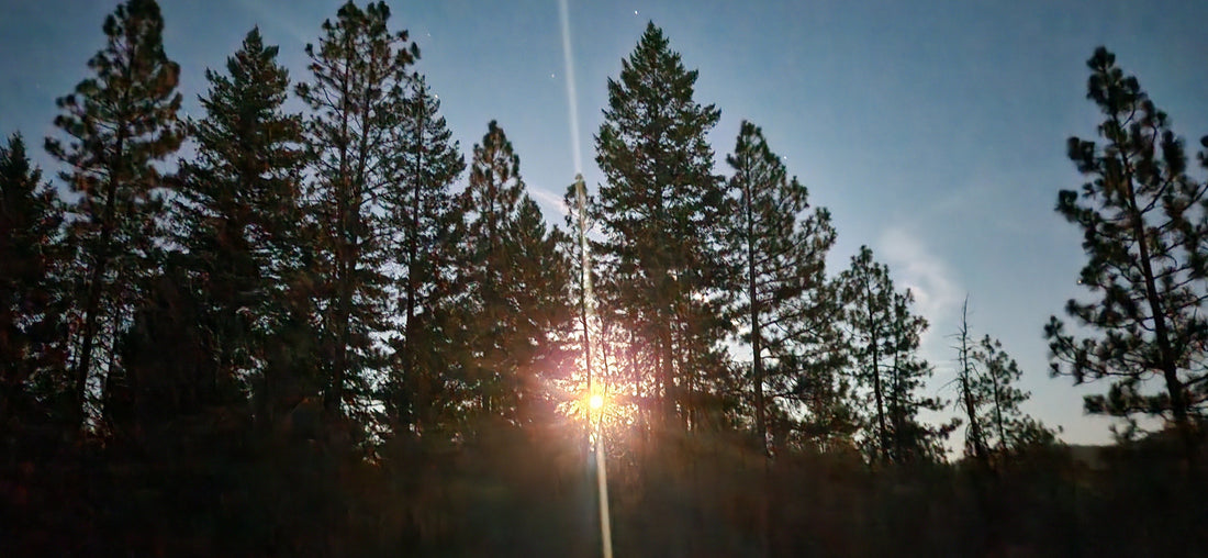 The Harvest Moon: Reflections on reflections