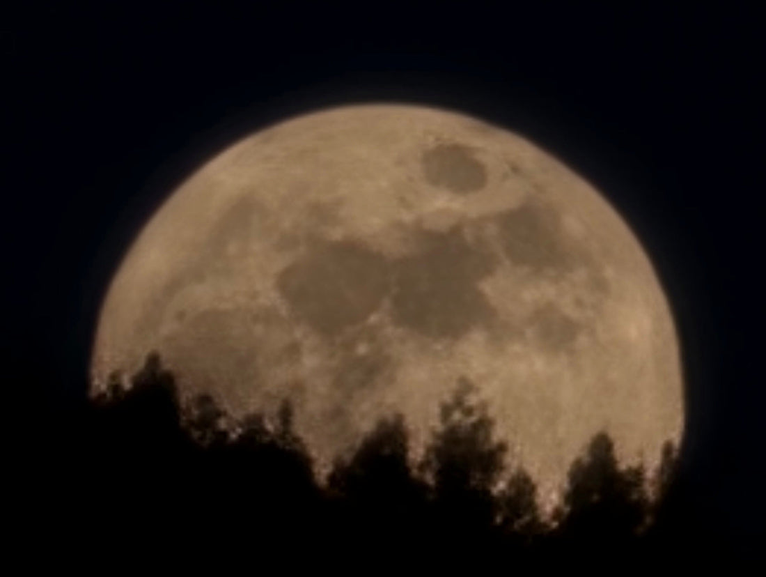 The Flower Moon and the Things That Choose Us