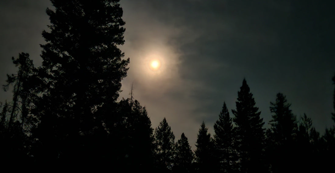 Corn Moon Reflections: Abundance in Our Nearness