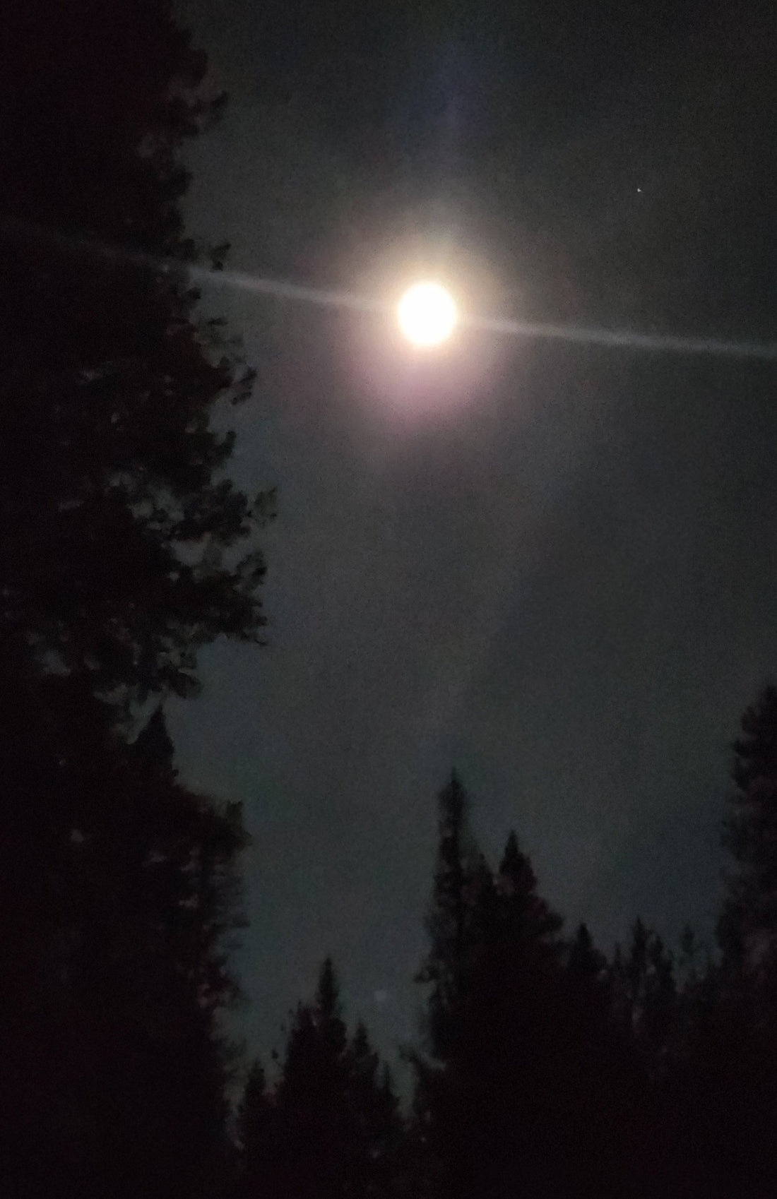 Staying in; the Blood Moon without witness