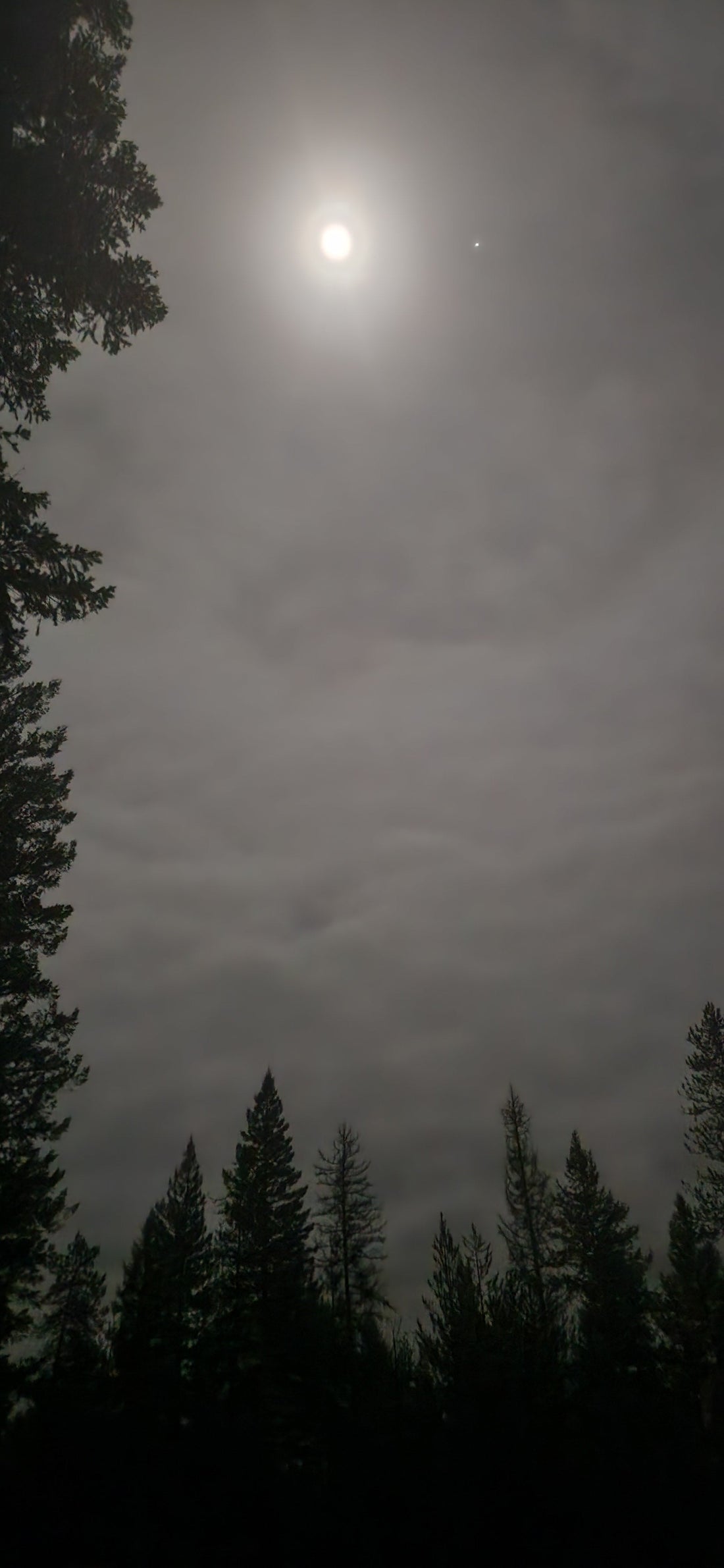 Beneath the Wolf Moon